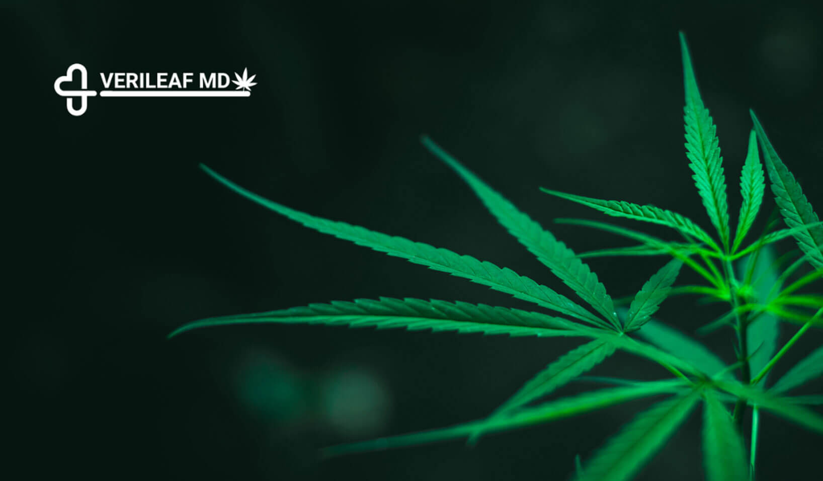 How to Get Your Medical Marijuana Card in Florida/PA with VeriLeaf​