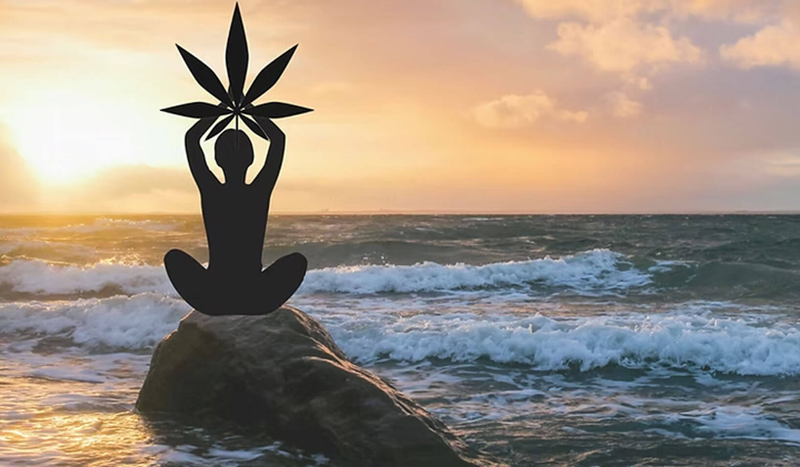 Meditation and Marijuana: a Holistic Approach to Wellness